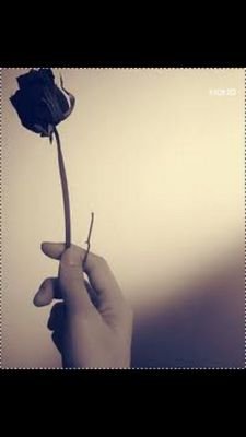 ‏‏‏‏☺لاإله إلا الله محمد رسول الله ♥