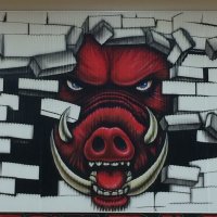 Rodeo Palms Jr. High (@rodeopalms) 's Twitter Profile