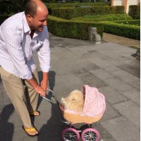 Davey (@daveywithcv) 's Twitter Profile