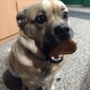 Peter Suon - @SuonP - Twitter