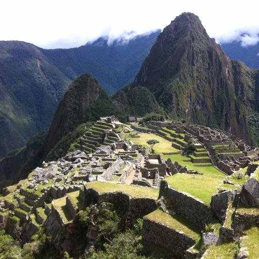 beelerl's profile picture. 