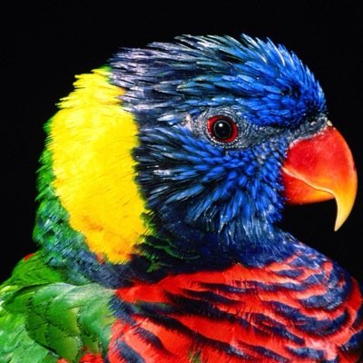 ZachAnimalhelp's profile picture. I help you with all your animal problems.