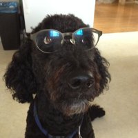 Dr. Lisa Everitt (@limeev) 's Twitter Profile Photo Dr. Lisa Everitt (@limeev) 's Twitter Profile Photo