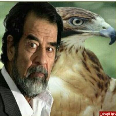 ‏‏العز طبعي والمذله لهله