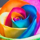 Debra Henson - @debram12h - Twitter