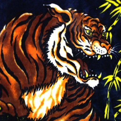 永遠月心悟さんのプロフィール画像