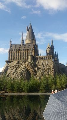 koki9913's profile picture. 四中野球部→千葉北ラグビー部39期→東海大学6BJM