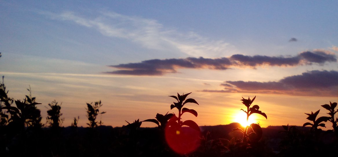 mpvalentino's profile picture. 