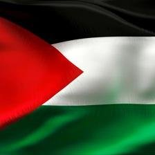 #palestine #freepalestine agradeciendo a todos los  han ayudado la causa #PALESTINA GRACIAS!