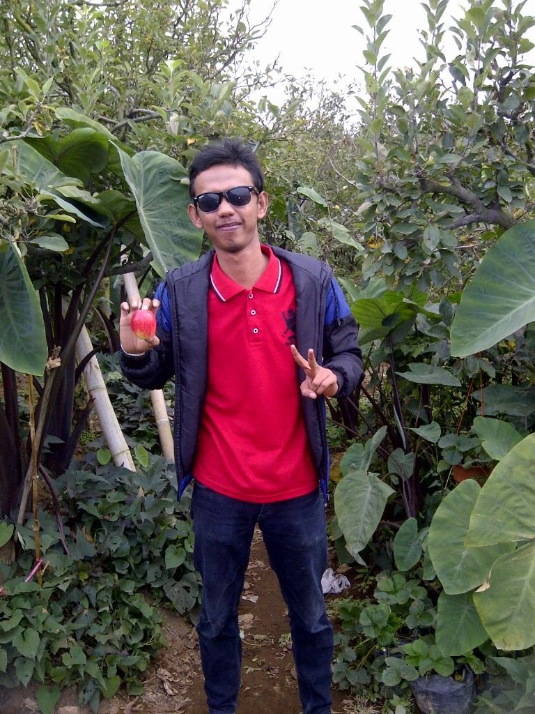 Entrepreuner|mahasiswa|@spcommedan|Medan|i'm a  shoguner's Indonesia