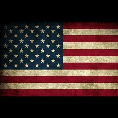 USA_ingenuity's profile picture. 
