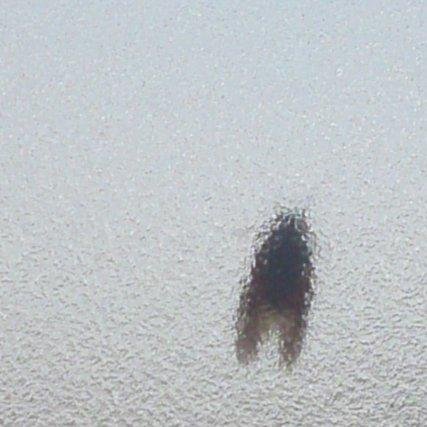 サイトウ。、さんのプロフィール画像
