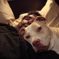 Abhilash Patel (@mistabhilash) 's Twitter Profile