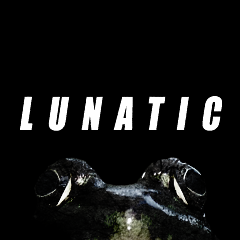 download lunatic 96 download lunatic 96