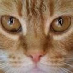 Radyga9's profile picture. 