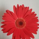 San85 - @san85blanco - Twitter