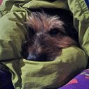 felipe sims  - @felipe_sims - Twitter