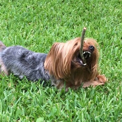 JMHinton13's profile picture. USC Trojan ✌🏼, Owner of The Best Dog In The World, Native Texan, FIGHT ON!