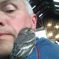 Arne Langmo (@arnelangmo) 's Twitter Profile