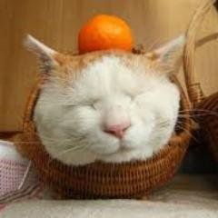 miyokomiyoko333's profile picture. 懸賞好きなみよこです。懸賞仲間募集中です✨よろしくお願いします(^^)無言フォロー大歓迎ですッ！フォロバします✨無言フォローお許しくださいm(__)m
夢は大物家電とディズニーチケットを当てることです♥️アンドロイドなので通知がいってしまうかも知れません💦