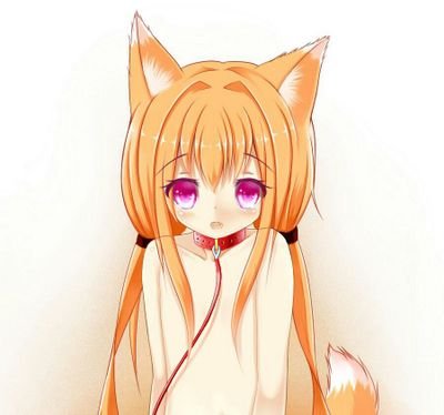 子狐@気まぐれ猫さんのプロフィール画像