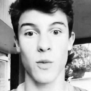 i'm @tamesmendes and i just wanna see what shawns timeline looks like lmao