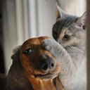 Nancy Prosser - @ProsserNancy - Twitter