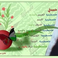 nisanapril's profile picture. Nisan Palestine