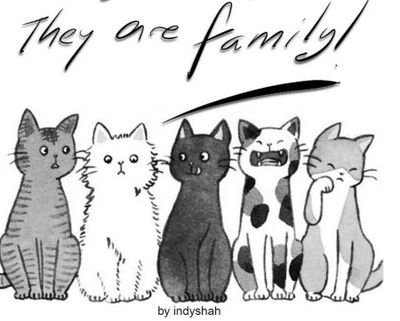 amdamdamda's profile picture. i love u jun meow.