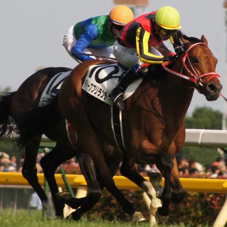 競馬用