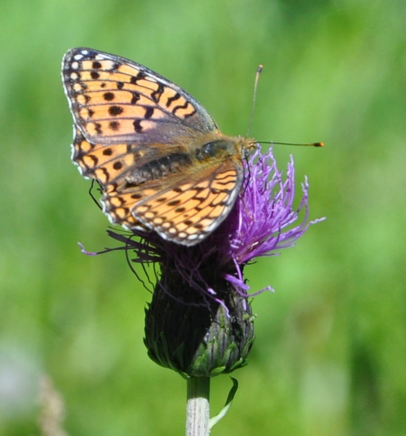 Uni of Glos Ecology & Environmental Science