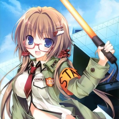 二次元の画像を集めている人 (変態)