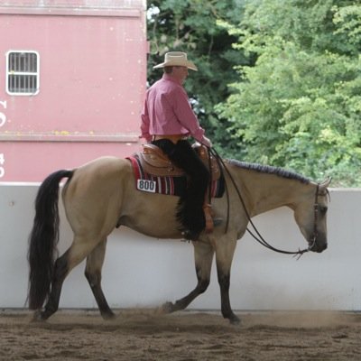 Freelance Equestrian Photographer