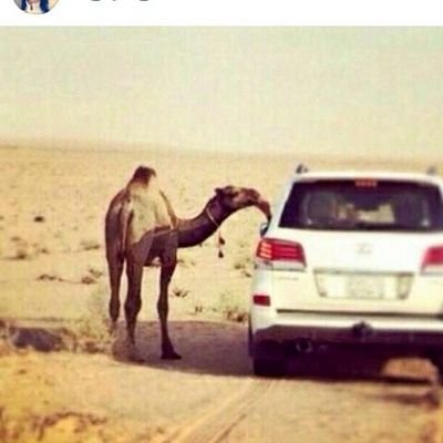 ‏‏الحمد الله
