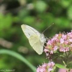 musulmanislam20's profile picture. 