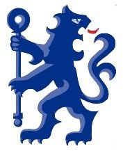 chelsea is my favorite football club   KTBFFH \m/