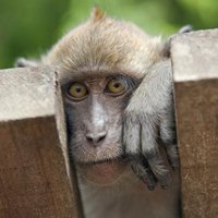 2byte (@techno2byte) 's Twitter Profile
