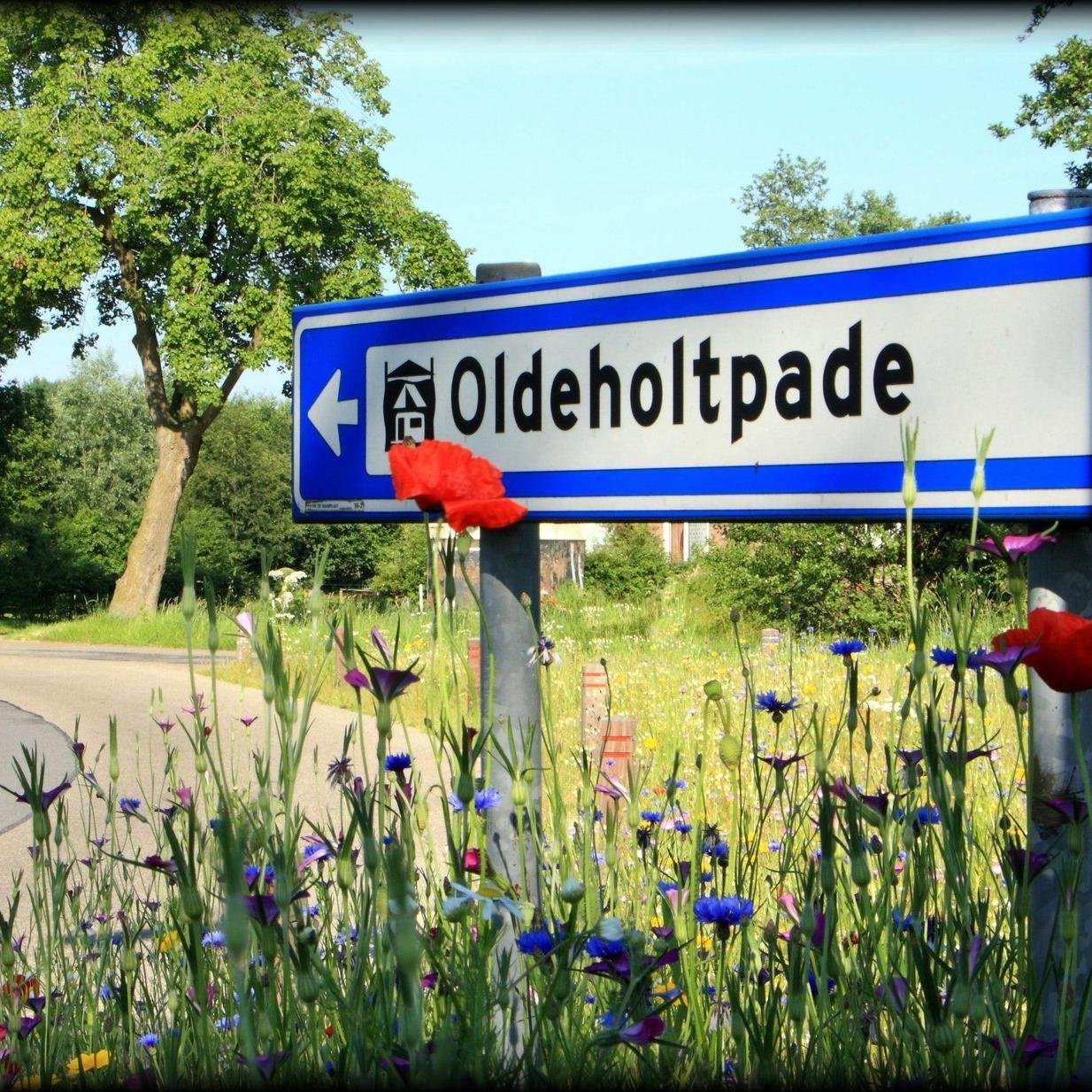 Oldeholtpade ligt in het zuiden van Friesland en vlakbij (± 4 km) Wolvega. Oldeholtpade heeft circa 1020 inwoners. Ook bekend als Parel van de Stellingwerven.