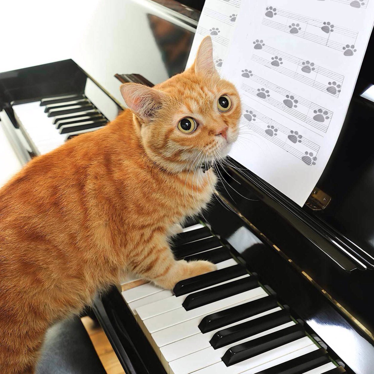 gentry_lynne's profile picture. Wife to Bobby. Mom to Rebecca. Grandmother to Tyler. Love to read. Love to travel to the mountains. 30+ plus yrs teaching experience. Math RTI.