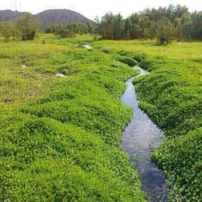 ثقافة عامة