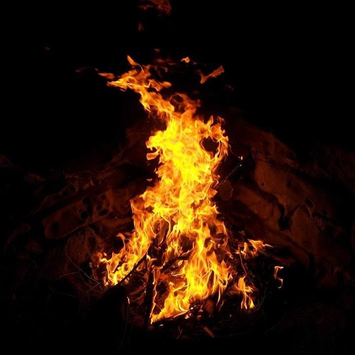 dellysiens's profile picture. 