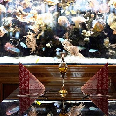 Thai Haus Tuitong Thaihaustuitong Twitter