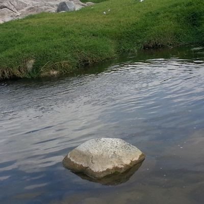 ‏من يتابعني عسى الله يحييه * من صد عني سهل الله طريقه
