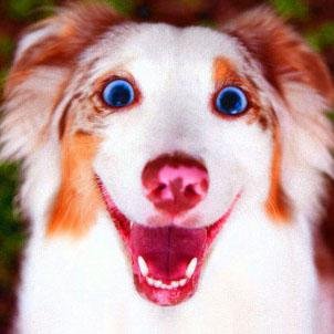 Sparkyさんのプロフィール画像