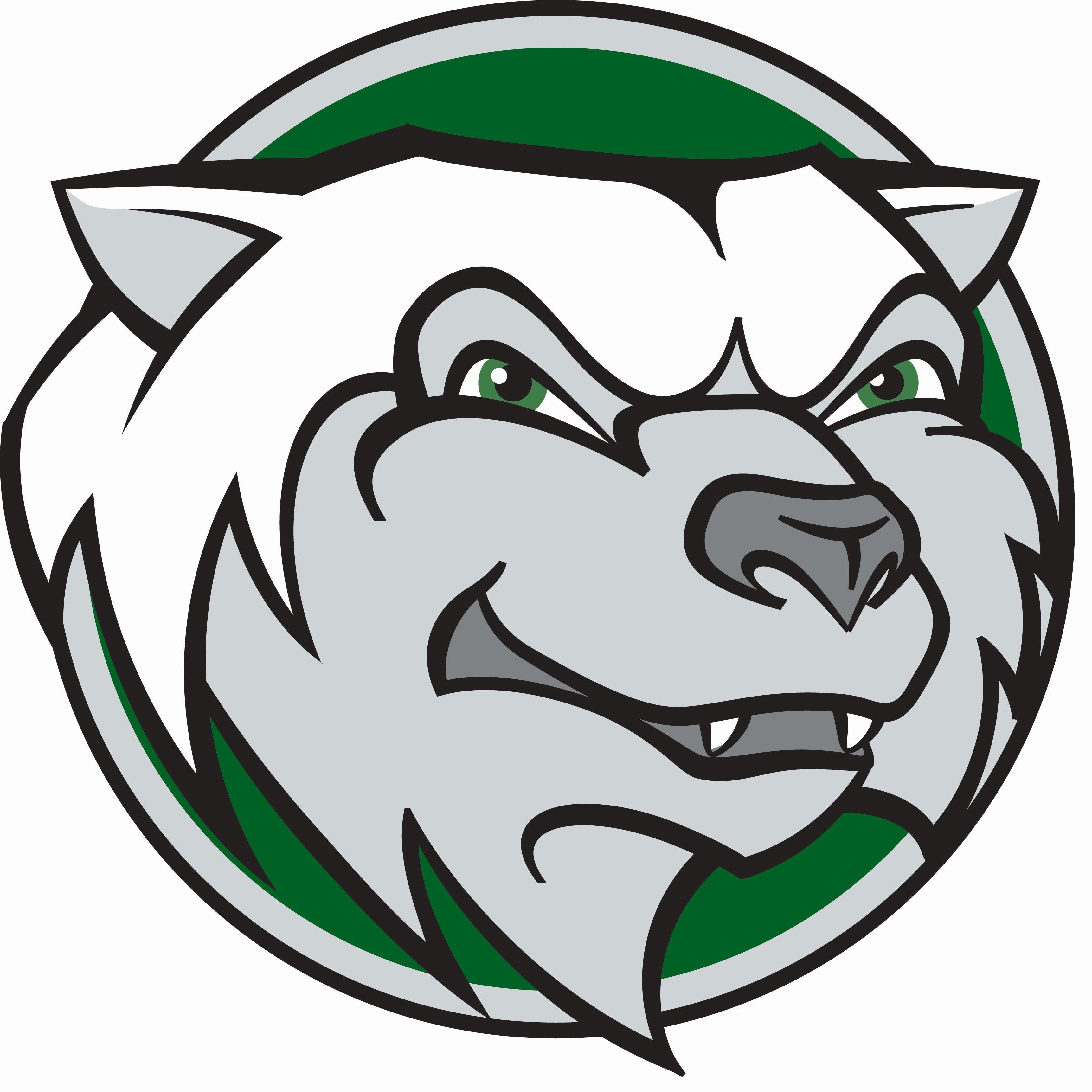ABMS Wolverines Profile