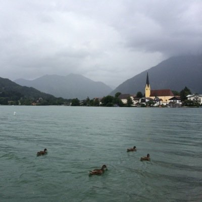 alfi9li's profile picture. 