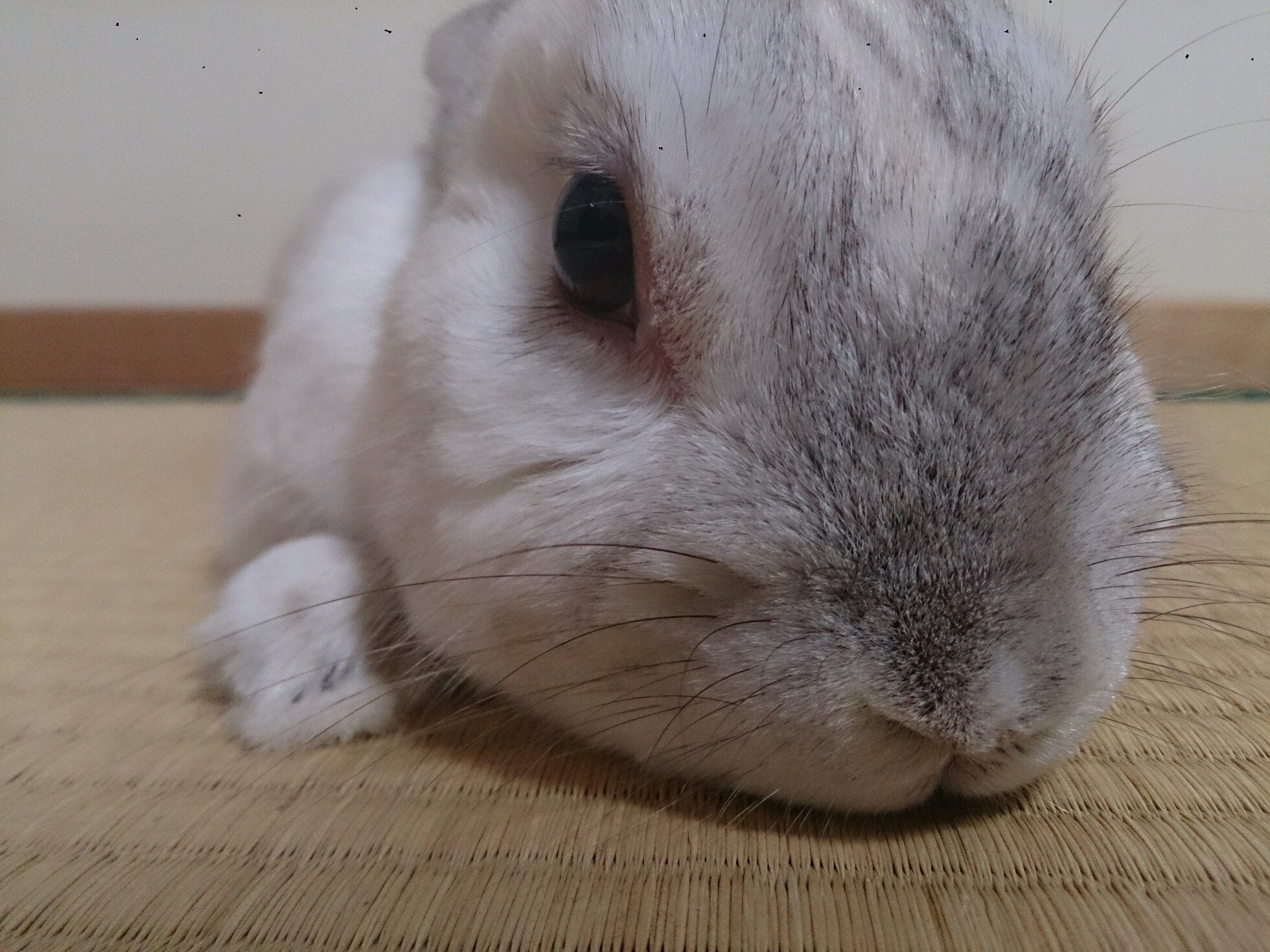 dc23b17fdcbe4f8's profile picture. 