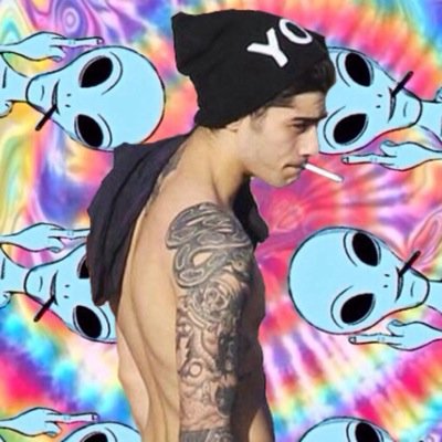 Free follow from @zaynxtat go follow her she follows back