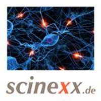 scinexx.de (@scinexx) Twitter profile photo