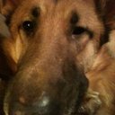 Andy Purcell - @appurcell13 - Twitter